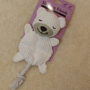 X[p[Lbg@X[sOtY@܁@S@yLpizyzy^pzyʂ݁z