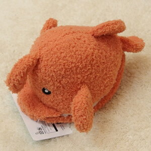 CtCN@V[thI[vgC@ARE@yzypizyʂ݁z