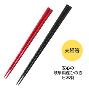H@Ή -kotobuki- 򕌌YЂ̂ { q ĂȂ 23cm 20cm v`Mtg LOi vw 2VZbg j j   j H vw 