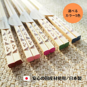 食洗機対応 ひのき うさぎ箸 大 中 1膳 かわいい 自宅用 家族用 ファミリー カラー 選べる 5色 プチギフト \ 1000円ポッキリ 送料無料/ぽっきり 箸 日本製 岐阜県産ひのき 国産 新生活 大学生