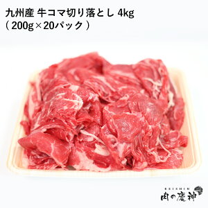 Mtg  Y BY R}؂藎Ƃ 4kg 200g × 20pbN  ܐ؂ ؗƂ Ⓚ   񂹃O