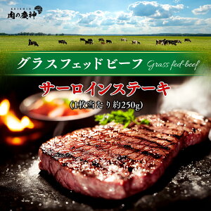 q OXtFbhr[t T[CXe[L (250g) kC E ̂ Ċ ̓2025   v[g  haha C 肪Ƃ  `ꂳ ` 