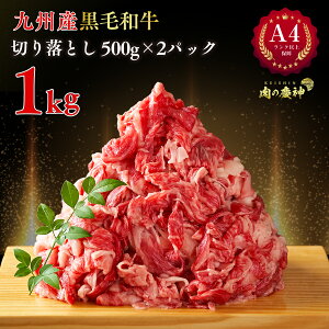 A4 N ȏۏ a ؂藎Ƃ BYјa  1kg ( 500g × 2pbN )  kC E ̂ Ċ ̓2025   v[g  haha C 肪Ƃ  