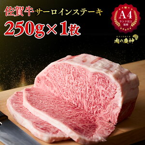 A4 N ȏۏ ꋍ T[CXe[L Zbg 250g × 1 ~ [X T[C Xe[L H̓s ̉≮蒼 I Y a Ⓚ BBQ Xe[L Ԑg  TV b 