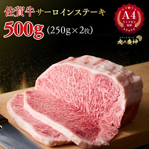 A4 N ȏۏ ꋍ T[CXe[L Zbg 250g × 2 ~ [X T[C Xe[L H̓s ̉≮蒼 I Y a Ⓚ BBQ Xe[L Ԑg  TV b 