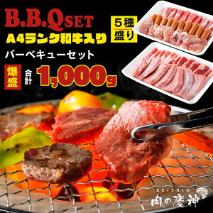 A4N a o[xL[ Zbg  H 1kg ( BYaEE{EؓE\[Z[W e200g)v 1000g H̓s ̉≮蒼 bbq