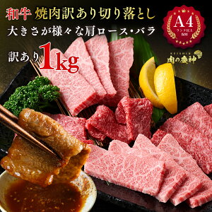 A4 N ȏۏ y 󂠂 zaēZbg 1kg ( 500g ×2) ؂藎Ƃ [X ( NV^ )𒆐SƂĕʂ̓_ł I Y a Ⓚ BBQ Ԑg  TV b ̃oX 