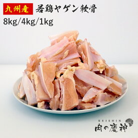 買い回り期間中はポイント10倍 国産 ・ 九州産 若鶏ヤゲン軟骨 身付き 8kg/4kg/1kg とり肉 冷凍 わかどり ナンコツ