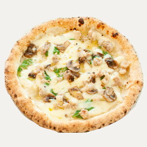 {C^A̖!TVb`GtMsU 2Zbg/ 4Zbg y I sU TVb`GtMsU Ⓚ v[g p[eB[ a@Mtg Ȃǂ