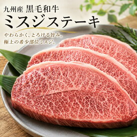 【送料無料】A4ランク以上 九州産黒毛和牛ミスジステーキ（100g/p 牛1頭から取れる量は2～3kgと希少性が高く、幻のお肉ともいわれています 霜降 希少部位 みすじ 国産 和牛 冷凍 BBQ 焼き肉 ステーキ などに 送料無料 ※北海道 ・ 沖縄のぞく