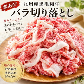 【送料無料】九州産黒毛和牛バラ切り落とし 500g 訳ありでお得！国産牛肉を牛丼・すき焼き・炒め物に。冷凍ストックで毎日の食卓を豊かにするお取り寄せ 敬老の日 ギフト おじいちゃん おばあちゃん 祖父 祖母 秋ギフト 秋の贈り物 仏前 お供え グルメ ギフトお歳暮