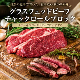 【送料無料】グラスフェッドビーフ 牧草牛 牛肩ロースブロック 500g 塊肉 ヘルシー赤身 オーストラリア/ニュージーランド産 【ローストビーフ ステーキ 煮込み お取り寄せ通販に】肉本来の旨み