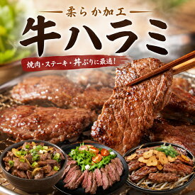 【送料無料】ニュージーランド産 柔らか加工 牛ハラミ ステーキカット 大容量 0.7kg-1kg 冷凍焼肉 おうちBBQ 簡単調理 ジューシー肉 お取り寄せグルメ