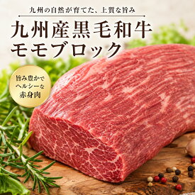 【送料無料】九州産黒毛和牛 A4等級以上 モモブロック 300g/500g ローストビーフ ステーキ用 塊肉 冷凍便 ご家庭用 贈り物にも 送料無料 ※北海道 ・ 沖縄のぞく
