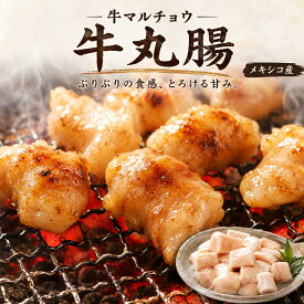 【送料無料】牛マルチョウ 1kg (丸腸) 業務用 大容量 ぷりぷり食感のホルモン 焼肉 もつ鍋 バーベキューに 冷凍