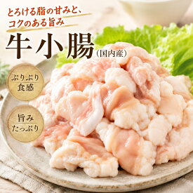 【送料無料】国産牛の旨味を堪能 ぷりぷり食感の脂付き 小腸 (ホルモン) 1kg/p ブロック 冷凍 もつ鍋 焼肉に