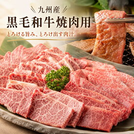 【送料無料】おうち焼肉を格上げ 九州産 黒毛和牛 焼肉セット A4等級以上 肩ロース バラ 食べ比べ BBQ キャンプ ギフト 贈答用 冷凍
