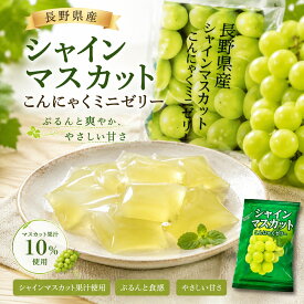 【送料無料】【常温保存可能】長野県産シャインマスカット果汁使用 こんにゃくミニゼリー 500g 大容量 個包装 プルプル食感のひとくちスイーツ おやつやデザートに