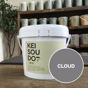 ]y h PAINT TYPE 1.5kg CLOUD NEh O[ D J[ yz DIY 񂽂 yCg [[ 킢  tH[ mx[V VRf Rf ANZg  