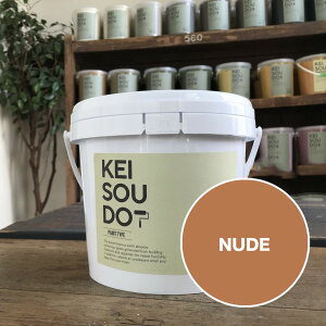 ]y h PAINT TYPE 1.5kg NUDE k[h CG[  J[ yz DIY 񂽂 yCg [[ 킢  tH[ mx[V VRf Rf ANZg  
