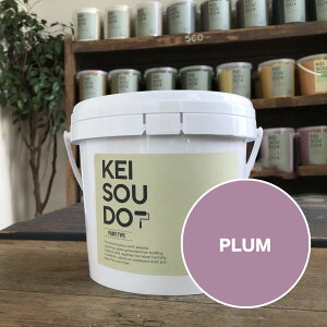 ]y h PAINT TYPE 1.5kg PLUM v p[v  J[ yz DIY 񂽂 yCg [[ 킢  tH[ mx[V VRf Rf ANZg  