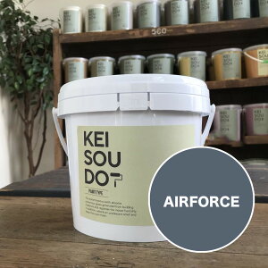 ]y h PAINT TYPE 1.5kg AIRFORCE GAtH[X u[O[  J[ yz DIY 񂽂 yCg [[ 킢  tH[ mx[V VR Rf ANZ