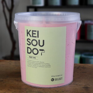 ]y h PAINT TYPE 4kg CANDY LfB[ sN  J[ yz DIY 񂽂 yCg [[ 킢  tH[ mx[V VRf Rf ANZg 