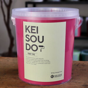 ]y h PAINT TYPE 4kg LOLLIPOP |bv sN  J[ yz DIY 񂽂 yCg [[ 킢  tH[ mx[V VRf Rf ANZg 