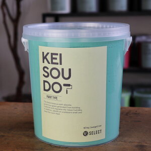 ]y h PAINT TYPE 4kg SEAFORM V[tH[ O[  J[ yz DIY 񂽂 yCg [[ 킢  tH[ mx[V VRf Rf ANZg