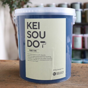 ]y h PAINT TYPE 4kg DENIM fj u[  J[ yz DIY 񂽂 yCg [[ 킢  tH[ mx[V VRf Rf ANZg  C