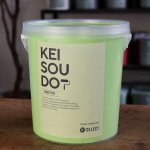 ]y h PAINT TYPE 4kg PISTACHIO sX^`I O[  J[ yz DIY 񂽂 yCg [[ 킢  tH[ mx[V VRf Rf ANZg 
