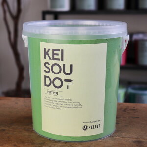 ]y h PAINT TYPE 4kg PLANTER v^[ O[  J[ yz DIY 񂽂 yCg [[ 킢  tH[ mx[V VRf Rf ANZg 