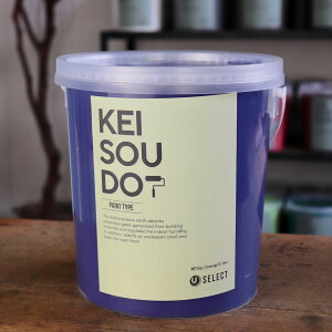 ]y h PAINT TYPE 4kg SPLASH XvbV u[p[v  J[ yz DIY 񂽂 yCg [[ 킢  tH[ mx[V VR Rf ANZ