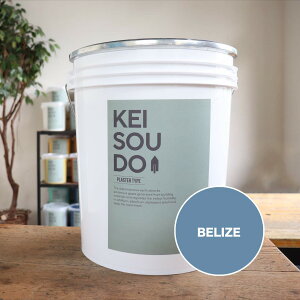]y h PLASTER TYPE 18kg BELIZE x[Y u[  J[ yz DIY 񂽂 킢  tH[ mx[V VRf Rf ANZgEH[  Ce