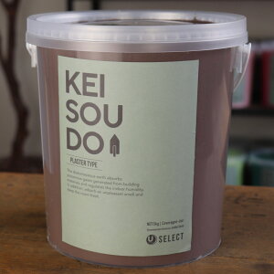 ]y h PLASTER TYPE 5kg COCOA RRA uE F J[ yz DIY 񂽂 킢  tH[ mx[V VRf Rf ANZgEH[  Ce