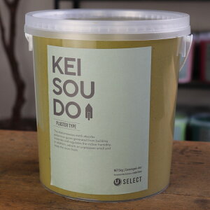 ]y h PLASTER TYPE 5kg OLIVE I[u J[LO[  J[ yz DIY 񂽂 킢  tH[ mx[V VRf Rf ANZgEH[  C