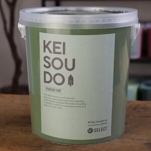 ]y h PLASTER TYPE 5kg MOSS X O[  J[ yz DIY 񂽂 킢  tH[ mx[V VRf Rf ANZgEH[  CeA 