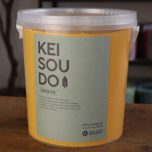 ]y h PLASTER TYPE 5kg BUTTERCUP o^[Jbv CG[  J[ yz DIY 񂽂 킢  tH[ mx[V VRf Rf ANZgEH[  