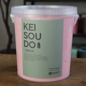 ]y h PLASTER TYPE 5kg CANDY LfB[ sN  J[ yz DIY 񂽂 킢  tH[ mx[V VRf Rf ANZgEH[  Ce