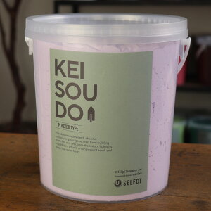 ]y h PLASTER TYPE 5kg WISTERIA EBXeA p[v  J[ yz DIY 񂽂 킢  tH[ mx[V VRf Rf ANZgEH[  C