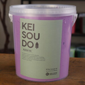 ]y h PLASTER TYPE 5kg PLUM v p[v  J[ yz DIY 񂽂 킢  tH[ mx[V VRf Rf ANZgEH[  CeA 