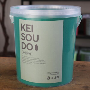 ]y h PLASTER TYPE 5kg TEAL eB[ O[  J[ yz DIY 񂽂 킢  tH[ mx[V VRf Rf ANZgEH[  Ce
