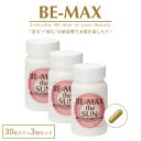 BE-MAX The SUN 30粒×3個セット 1個3233円 紫外線対策 UV サプリメント ビーマックス ザ サン