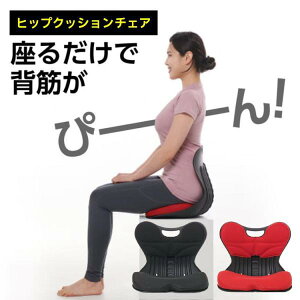 qbvNbV`FA Hip Cushion Chair ՃT|[g֎q p MAKUAKE ֎q ݑ d 