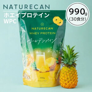 NATURECAN �l�C�`���[�J�� �z�G�C�v���e�C�� WPC �S�[���f���p�C���� 990g 30�H�� ������ς��� BCAA �g���[�j���O