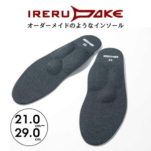 IRERUDAKE C\[ 21`29cm ~ G p RiCAM C_P O y܂ 21 22 23 24 25 26 27 28 29