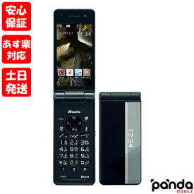 【23日20時からポイントUP!お買い物マラソン あす楽発送】新品未使用品【Sランク】docomo Panasonic P-01H ダークメタル パナソニック iモード ケータイ ガラケー 4942857182194