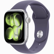 楽天市場】apple watch 42mm バンド（カラーシルバー）（スマート 