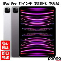 楽天市場】ipad pro 11インチ wi-fi 512gbの通販