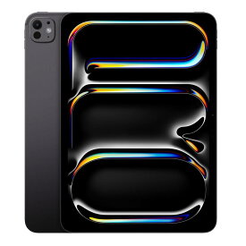 【土日、祝日発送、店舗受取可】【中古品】iPad Pro 11インチ (M4) 第5世代 Wi-Fiモデル 256GB 512GB 1TB 2TB スペースブラック シルバー A2836 Apple